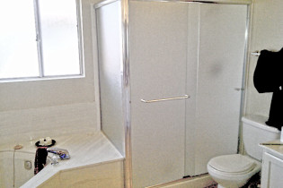 Repair & Remodel Bath